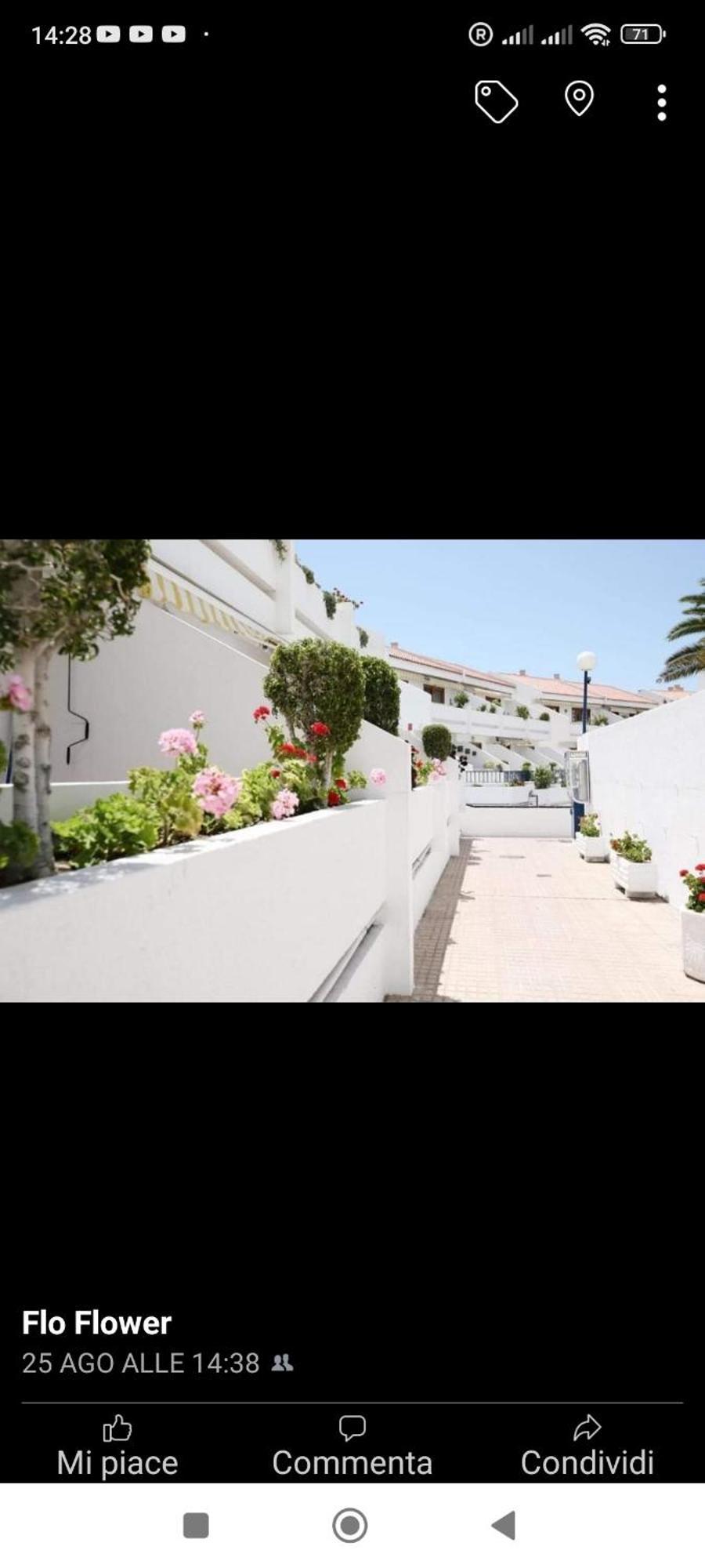 Garden City Costa Adeje  Eksteriør billede